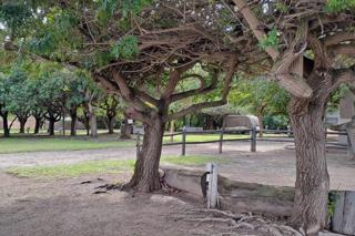 0 Bedroom Property for Sale in Redelinghuys Western Cape